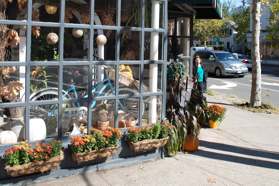 Try these places to bring the outdoors inside your New Haven apartment post image